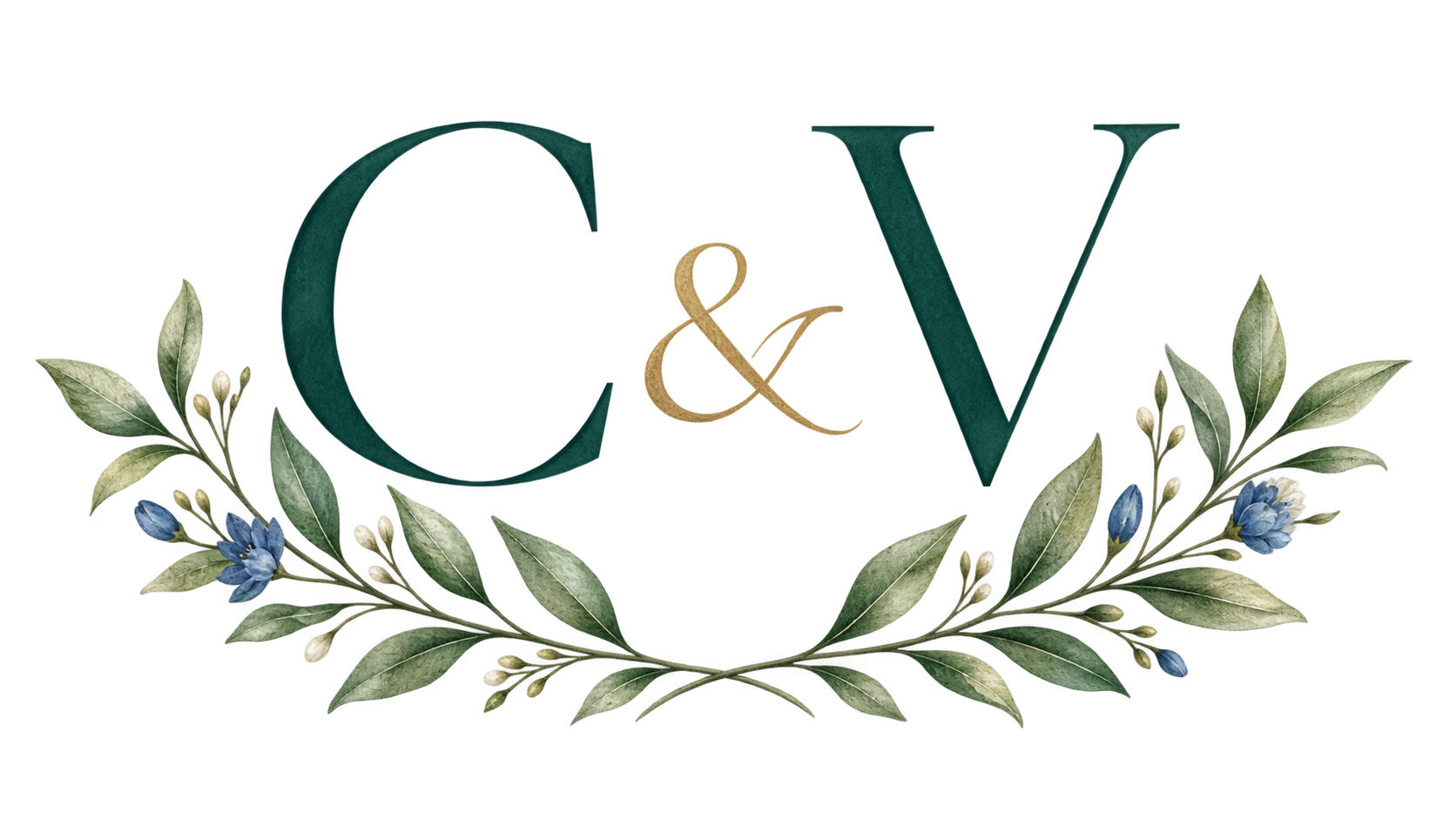 C y V